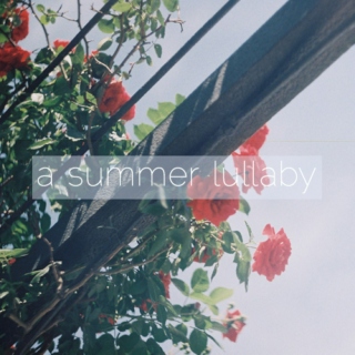 a summer lullaby