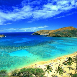 hawaii on the mind