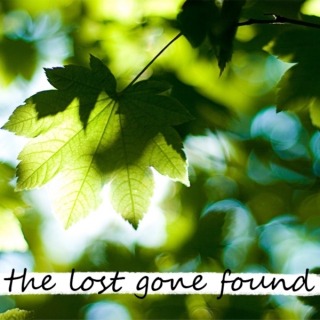 the lost gone found