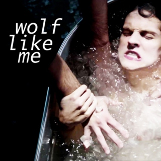 wolf like me; a teen wolf fanmix