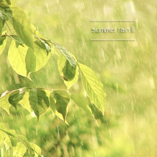 summer rain II
