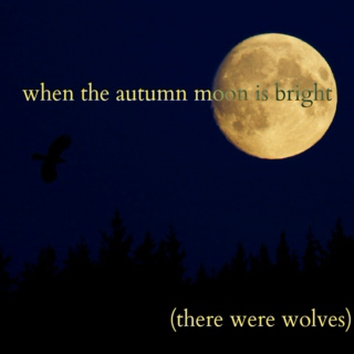 when the autumn moon is bright (there were wolves)