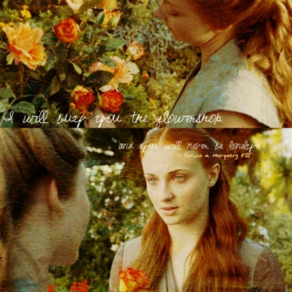 i will buy you the flowershop / and you will never be lonely ~ a Sansa x Margaery FST