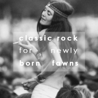 classic rock for newly born fawns