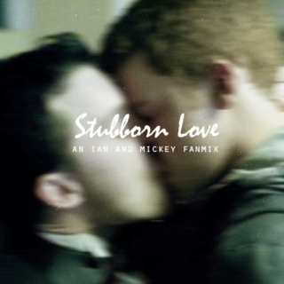 Stubborn Love 