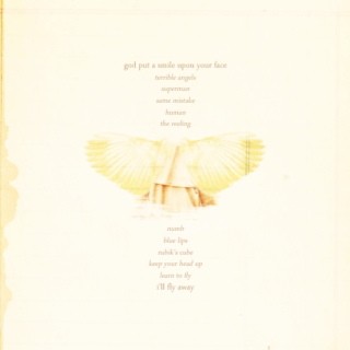 Paperback Wings