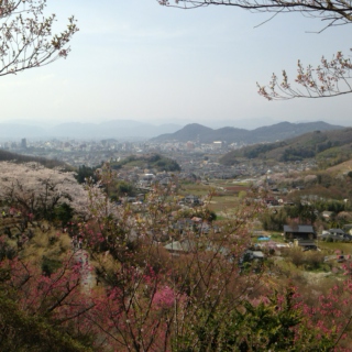 Fukushima Spring 2013