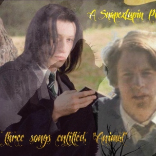 A Snape/Lupin Playlist with Three Songs Entitled, "Animal"