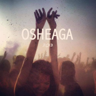 Osheaga // 2013