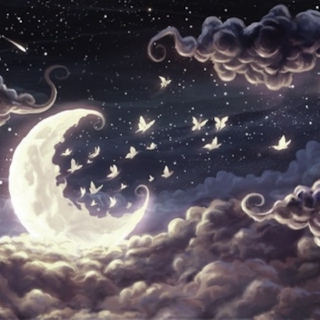 Dream Under The Moonlight