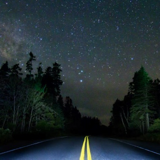 the road at night