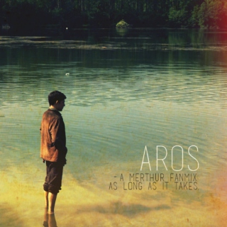aros (to stay / wait)