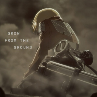 grow from the ground
