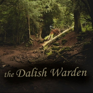 The Dalish Warden