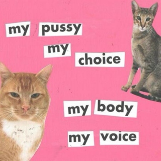 my pussy, my choice