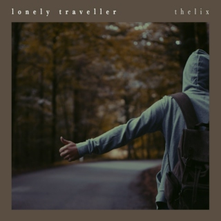 Lonely Traveller