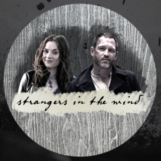 Strangers in the Wind