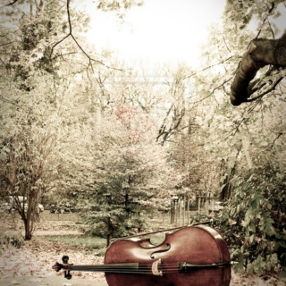 Hello Cello, Come Dream With Me