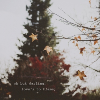 love's to blame
