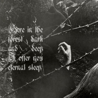 here in the forest dark and deep I offer you eternal sleep