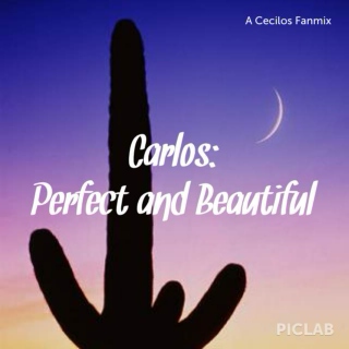 Carlos: Perfect and Beautiful