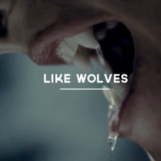 like wolves