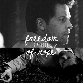freedom is a length of rope