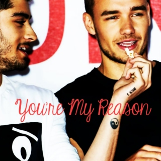 You're My Reason-A Ziam Playlist