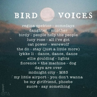 bird voices