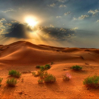 Meditation on a Sand Dune