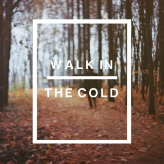Fall Collections; Walk in the Cold