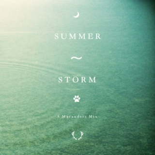 Summer Storm