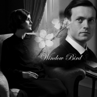 Window Bird- Evelyn Napier x Mary Crawley