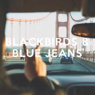 blackbirds & blue jeans.