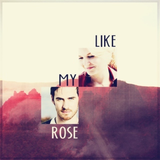 like my rose
