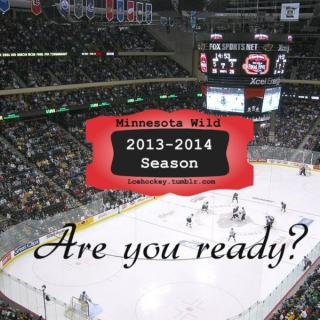 Minnesota Wild 2013-2014 Season Mix
