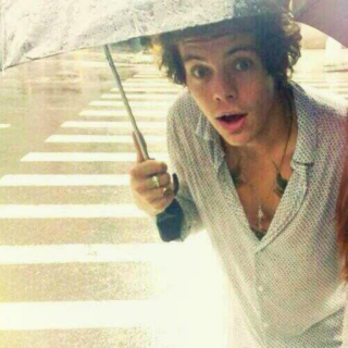 Rainy day with Harry