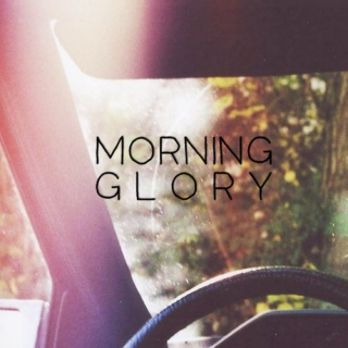 Morning glory.