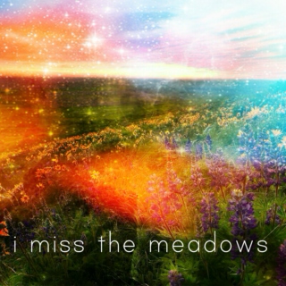 i miss the meadows