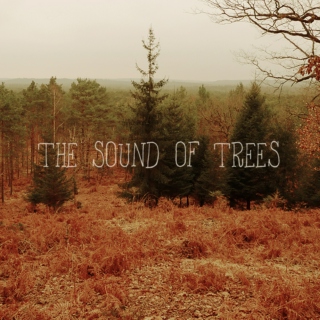 the sound of trees