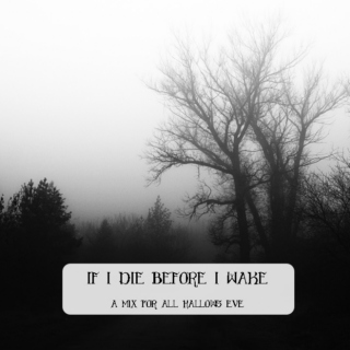 if i die before i wake