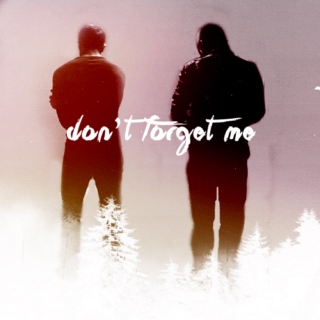 don't forget me