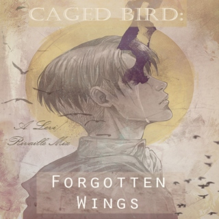 Caged Bird: Forgotten Wings