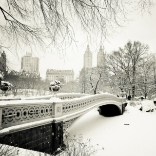 New York winter times