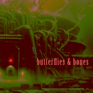 Butterflies & Bones