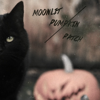 Moonlit Pumpkin Patch