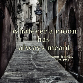 whatever a moon has always meant