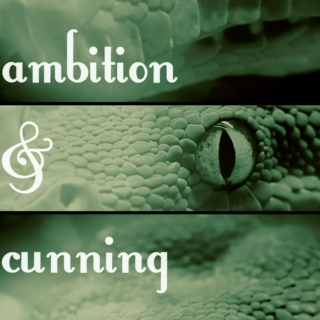 ambition & cunning