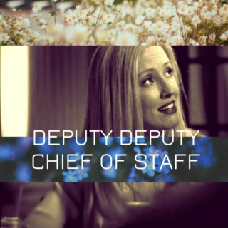 Deputy Deputy Chief of Staff