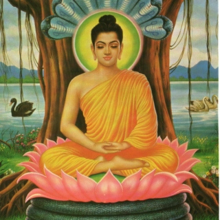 the dharma
